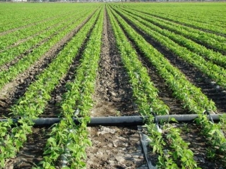 农田灌溉管